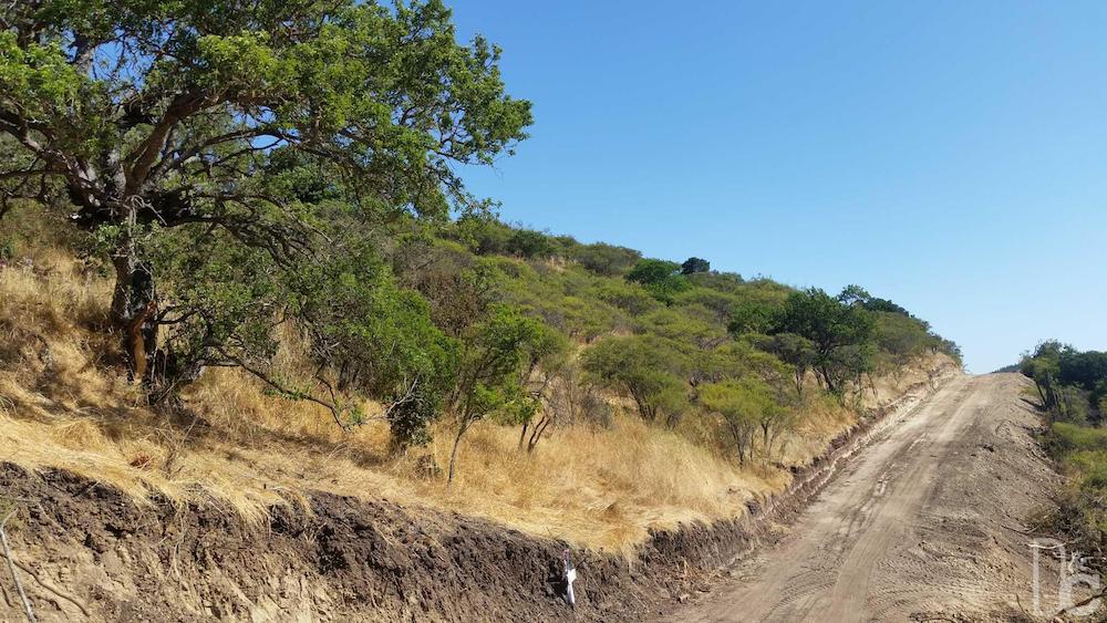 El Trébol El Convento 